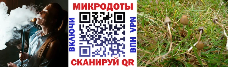 Галлюциногенные грибы мицелий  omg маркетплейс  Балахна 