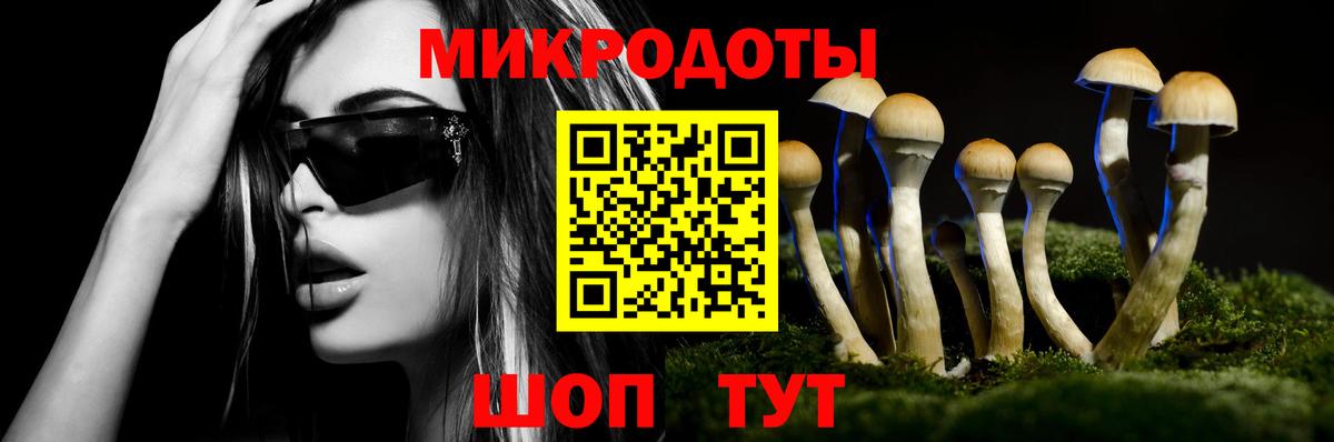 Балахна  Галлюциногенные грибы мухоморы  Вход с VPN 