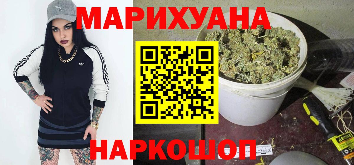 Канабис планчик Балахна